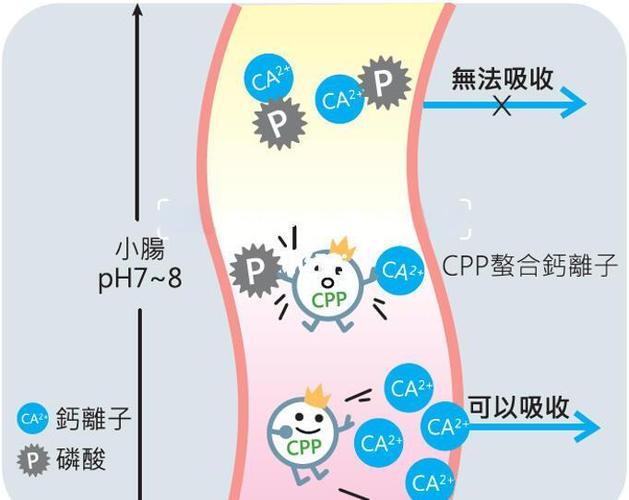 cpp官网缩略图
