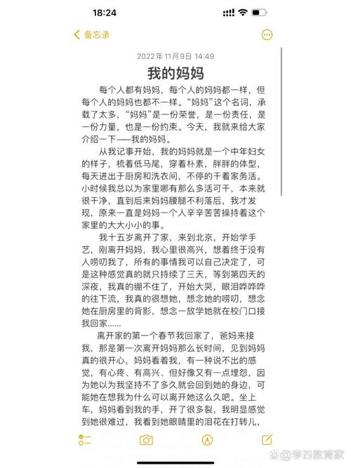 我的妈妈赵婉晴林默小说缩略图