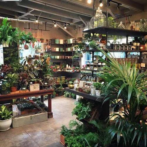 附近500米的绿植店缩略图