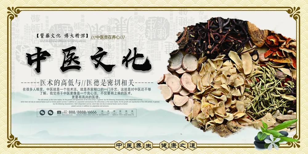 中医中国传统文化缩略图