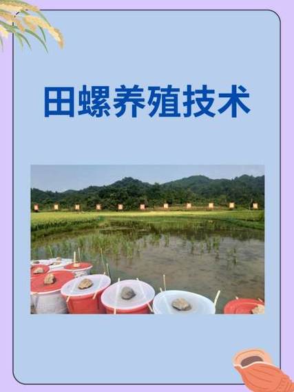 养殖一亩田螺一年利润多少缩略图