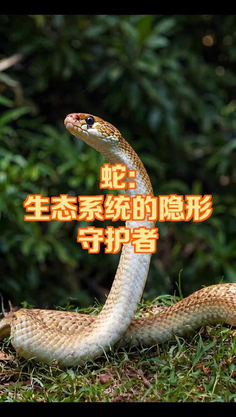 电脑运行一会儿就死机图标