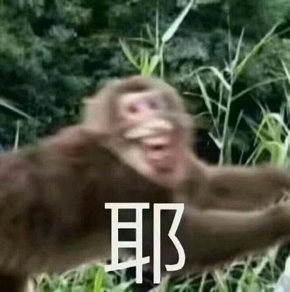苹果手机猴子表情缩略图