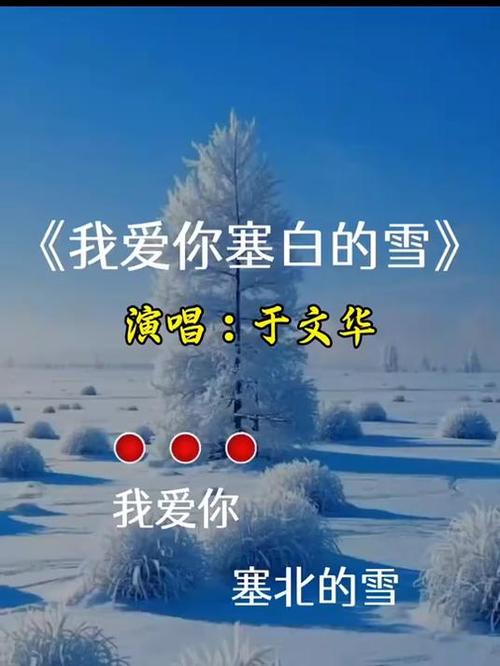 雪的歌曲最好听的十首缩略图