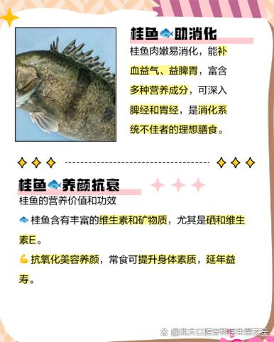 桂鱼营养成分表缩略图
