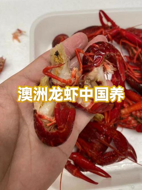 农场世界app养龙虾能赚钱吗缩略图