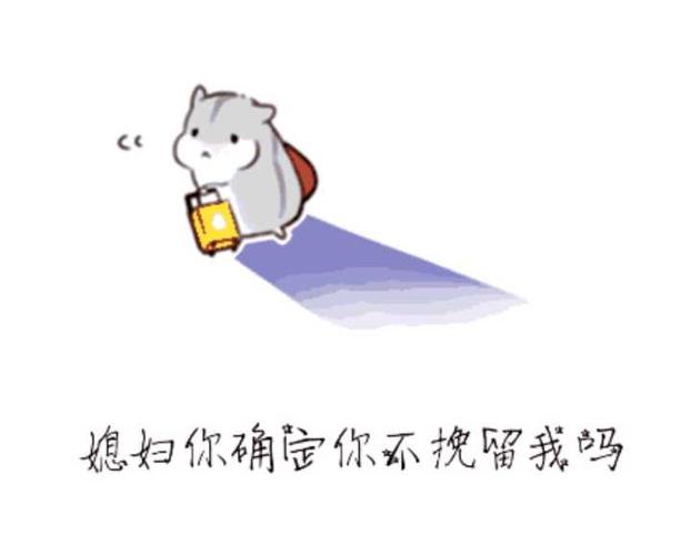 哄女朋友的表情包缩略图
