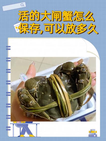 活螃蟹能放多久缩略图