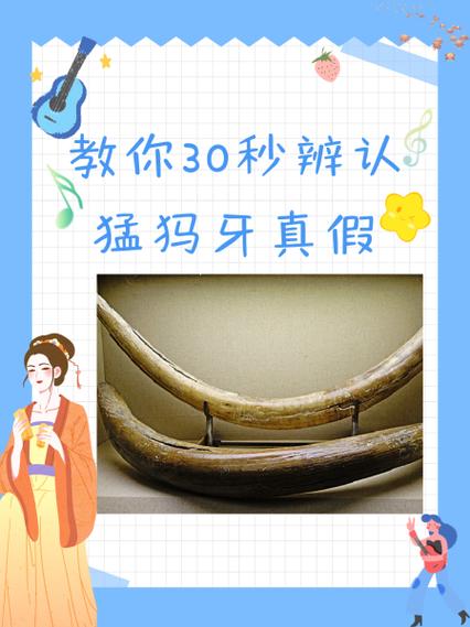 如何鉴定猛犸牙的真假缩略图