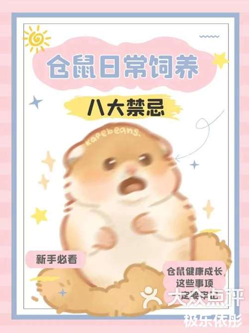新手养仓鼠注意事项游戏截图
