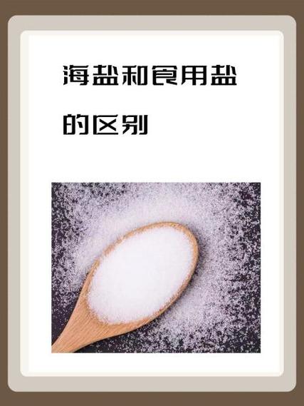 红豆袋好还是海盐的好游戏截图