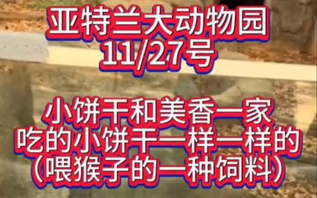 分红熊猫是真的吗缩略图