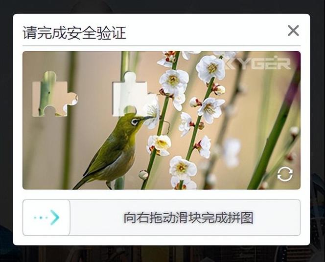 手机验证码能随便发给别人吗游戏截图
