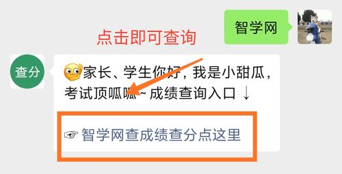 学智网成绩查询缩略图
