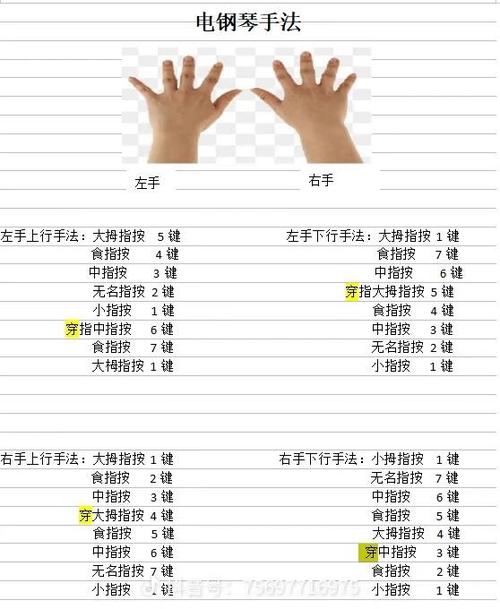 电子琴自学入门教材书缩略图