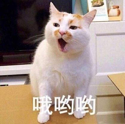 哦哟表情包图标