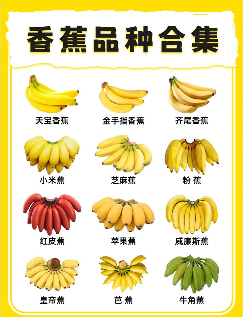 香蕉最佳搭配10种水果游戏截图