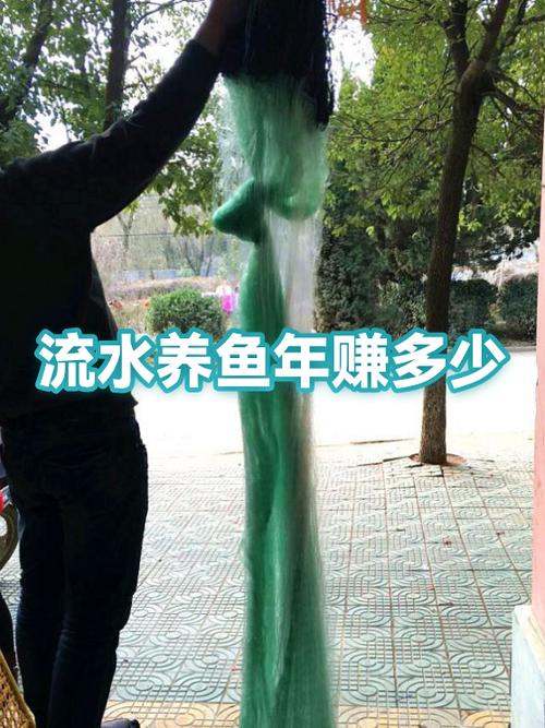养鱼一年能赚多少钱缩略图