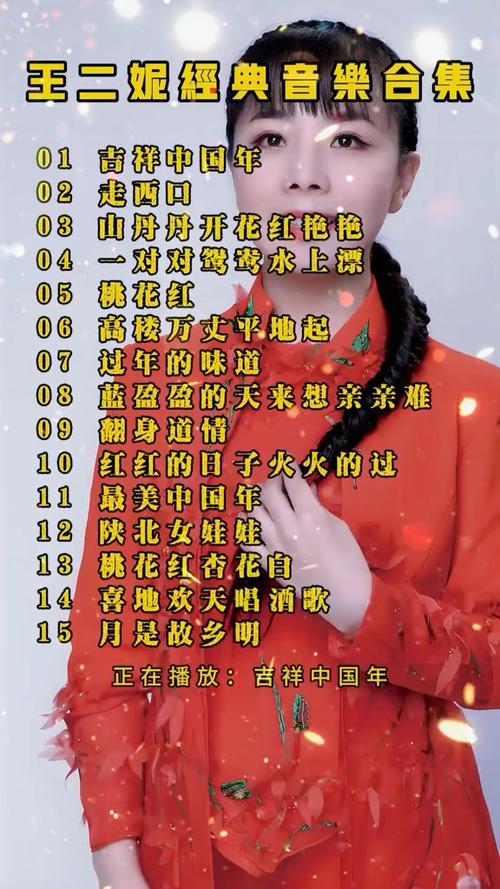 王二妮最火十首歌曲缩略图