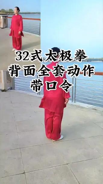 32式太极拳背向带口令游戏截图
