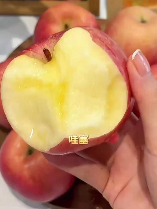 苹果14能用七八年吗缩略图
