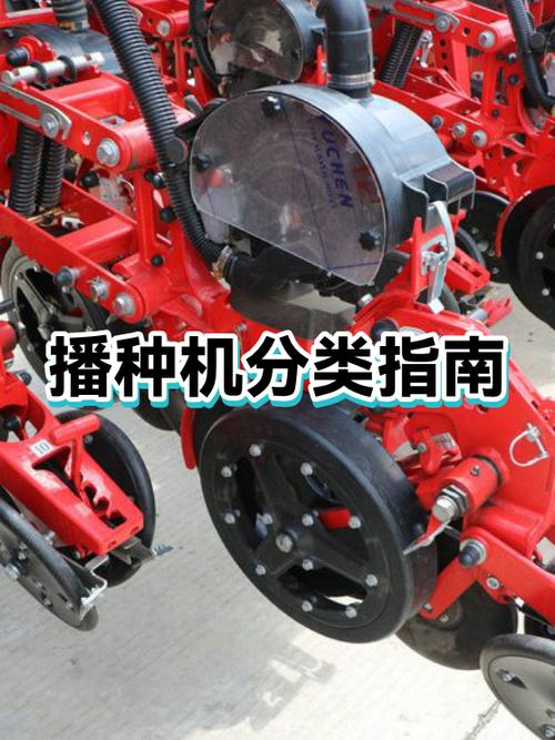 葵花籽播种机视频游戏截图