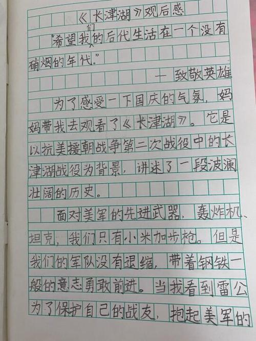 致敬英雄观后感500字缩略图