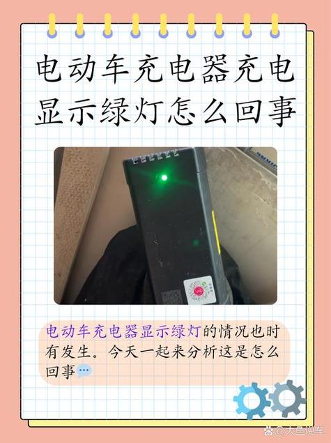 电动车充完电不拔充电器有影响吗游戏截图