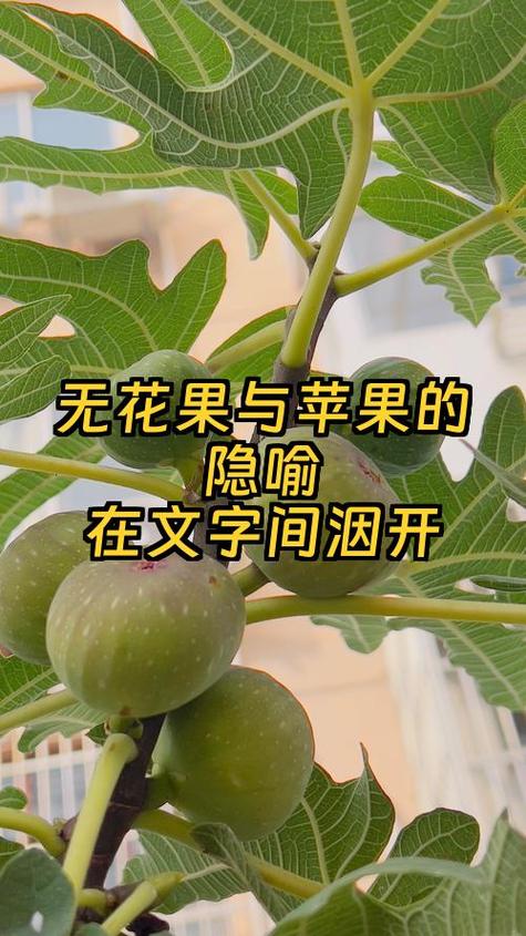 苹果的隐喻游戏截图