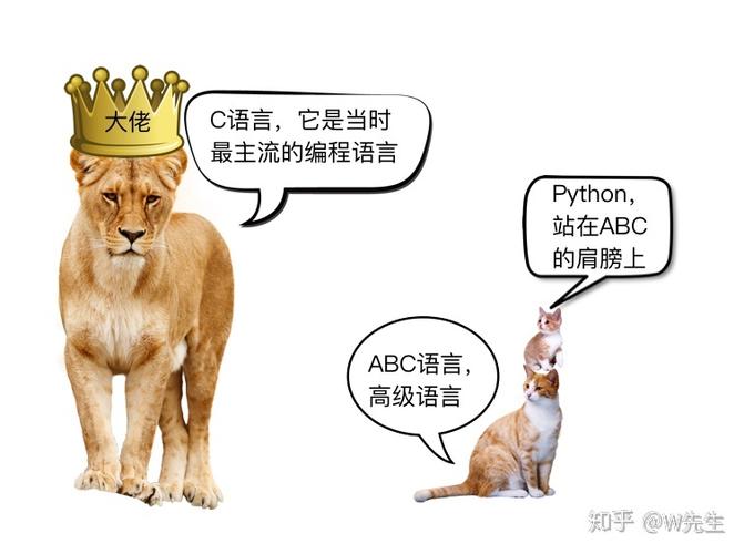 Python的起源缩略图