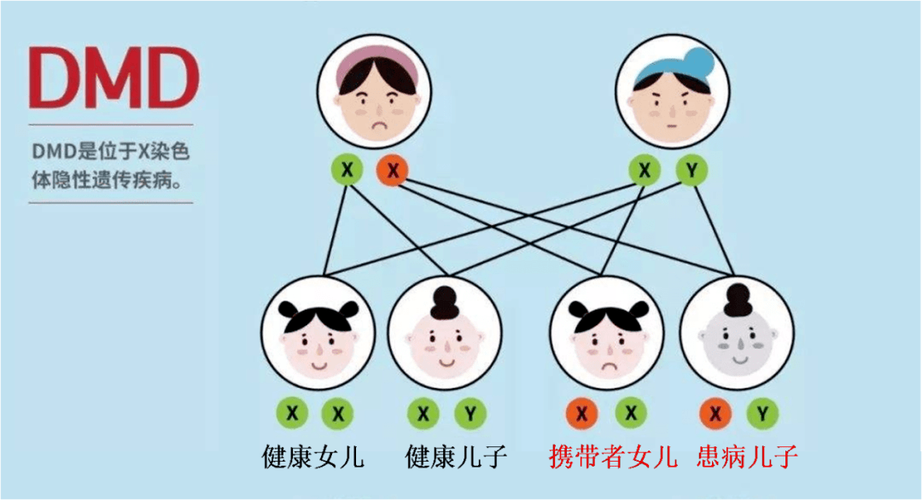 家族遗传疾病包括哪些图标