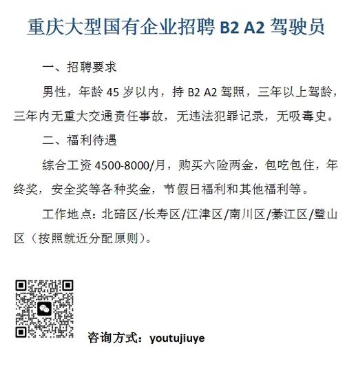 重庆人才网招聘官网游戏截图