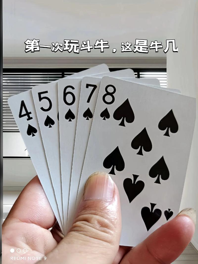 斗牛扑克牌单机版图标