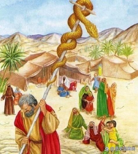 耶和华的真面目缩略图