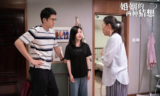 鸿影和沈自忠结局缩略图