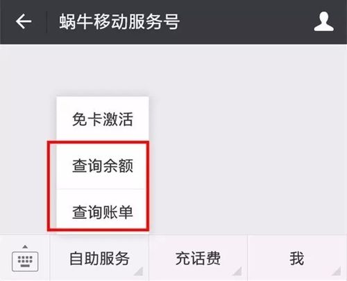 蜗牛移动服务号缩略图