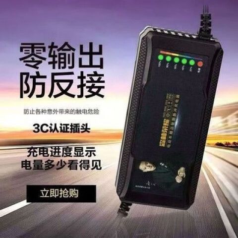 智能脉冲充电器什么意思游戏截图