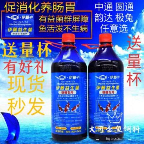 锦鲤益生菌怎么用游戏截图