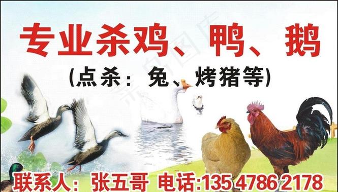 卖鸡鸭鹅的广告语游戏截图