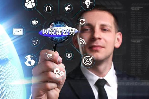 贝锐是干嘛的缩略图
