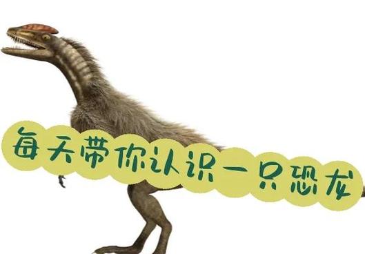 我的恐龙礼包码是什么缩略图