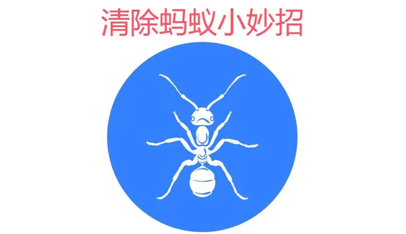 杀小蚂蚁用什么药最好缩略图