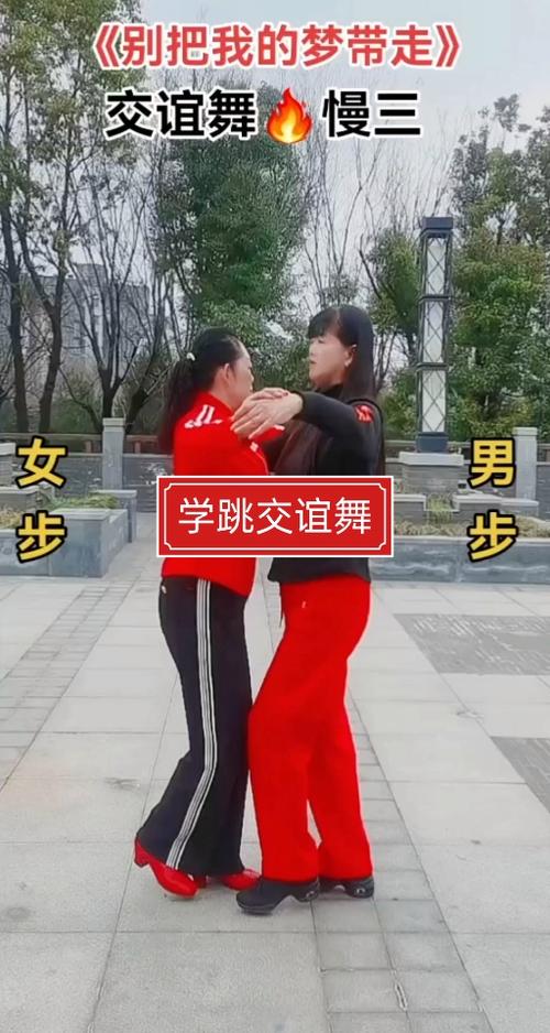 慢三步交谊舞中老年
