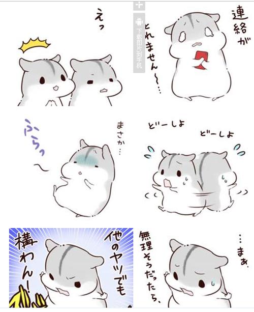hamham表情包介绍缩略图