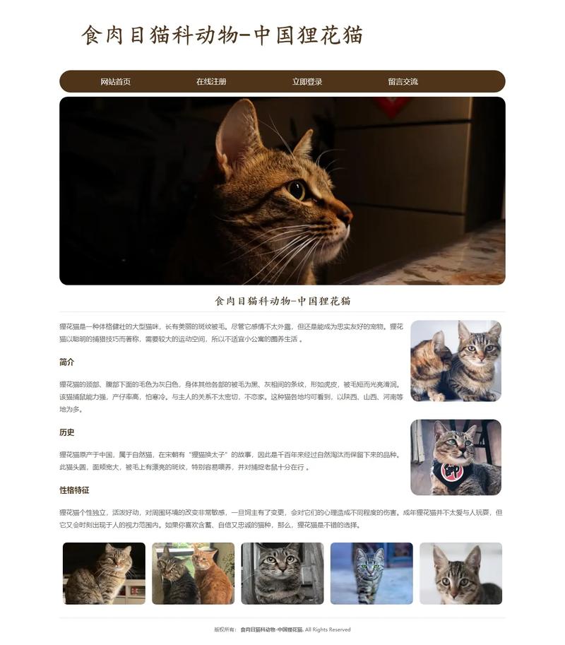 随喵聊天网页版缩略图