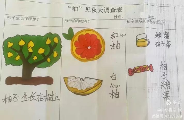 柚子的个人资料缩略图