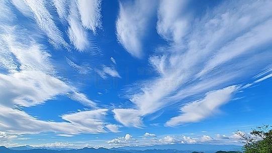 蓝天视频官方下载最新版本缩略图