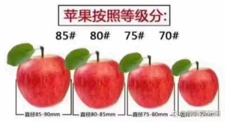 苹果表价格缩略图