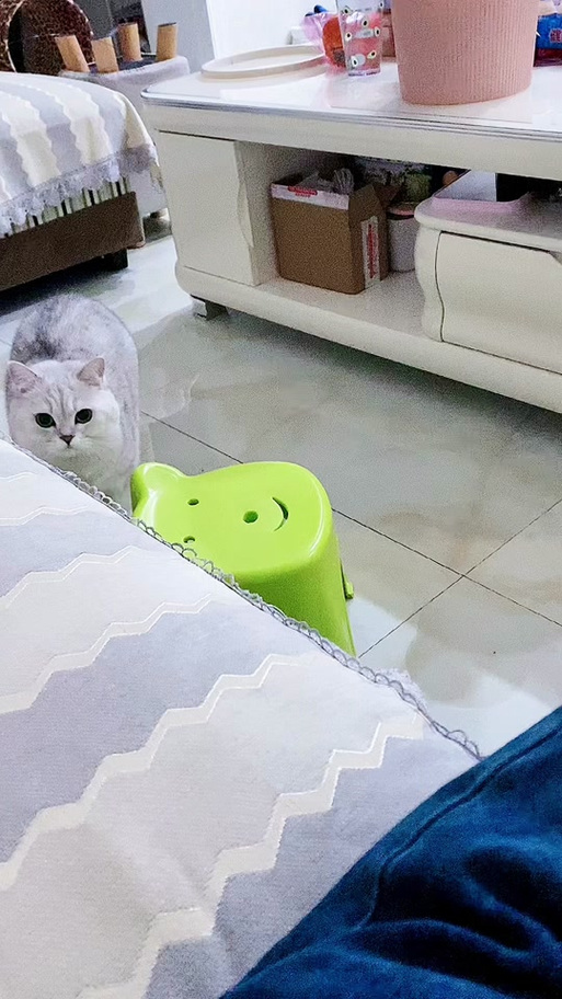 豆包挠痒痒搞笑视频缩略图