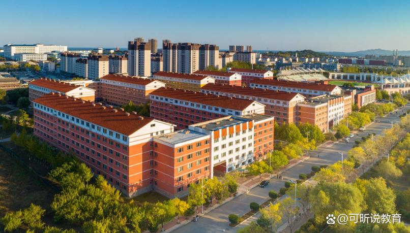 张雪峰说辽宁工业大学缩略图